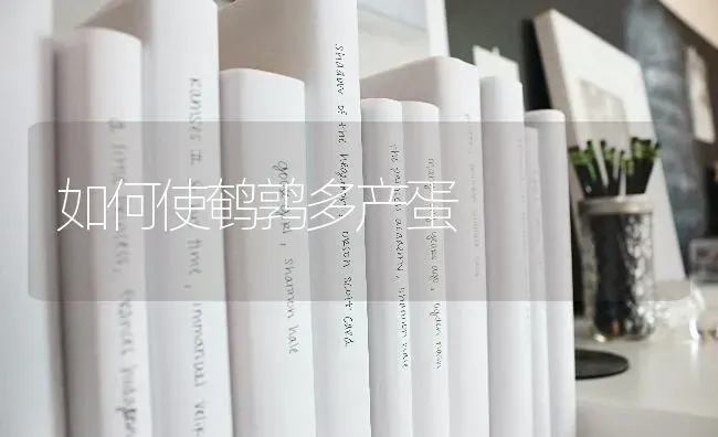 如何使鹌鹑多产蛋 | 养殖知识