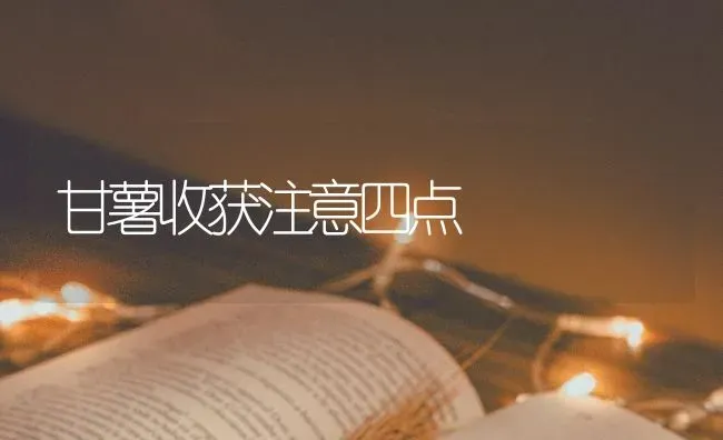 甘薯收获注意四点 | 养殖技术大全