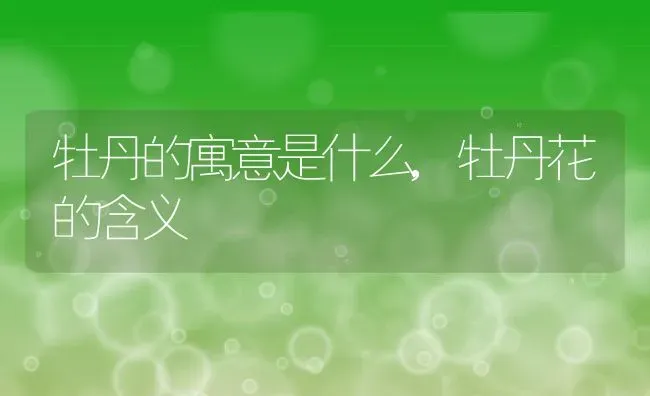 牡丹的寓意是什么,牡丹花的含义 | 养殖学堂