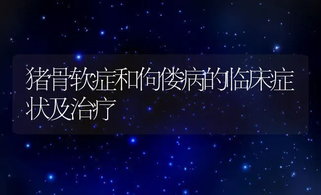 猪骨软症和佝偻病的临床症状及治疗 | 养殖学堂