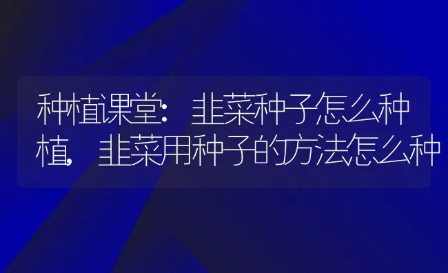 种植课堂:韭菜种子怎么种植,韭菜用种子的方法怎么种 | 养殖学堂