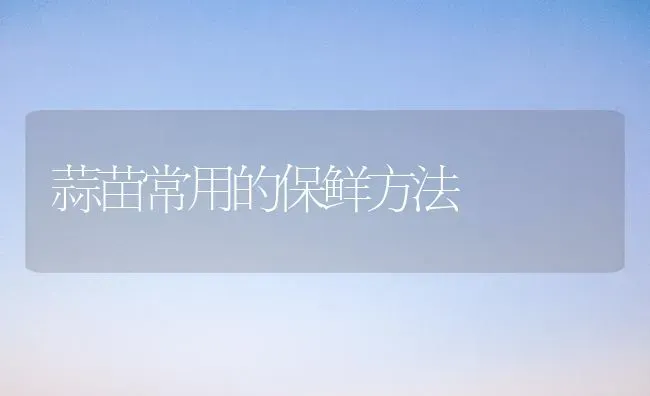 蒜苗常用的保鲜方法 | 养殖技术大全