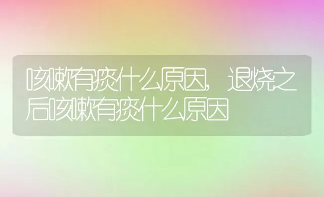 咳嗽有痰什么原因,退烧之后咳嗽有痰什么原因 | 养殖资料