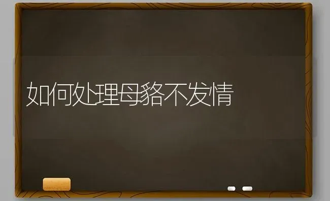 如何处理母貉不发情 | 养殖知识