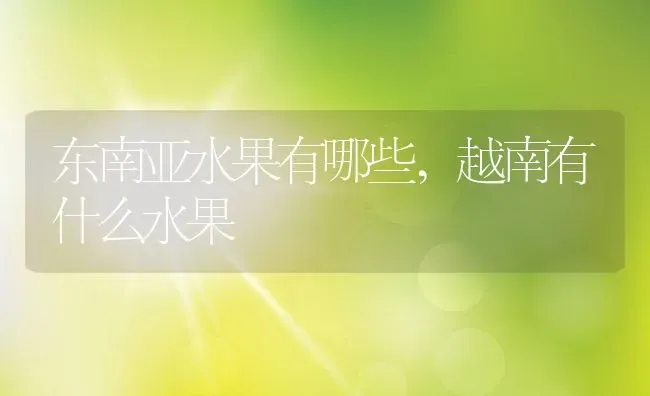 东南亚水果有哪些,越南有什么水果 | 养殖学堂