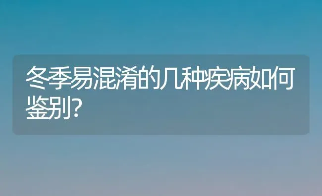 冬季易混淆的几种疾病如何鉴别? | 养殖知识