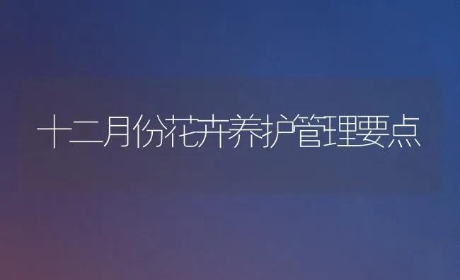 十二月份花卉养护管理要点 | 养殖技术大全