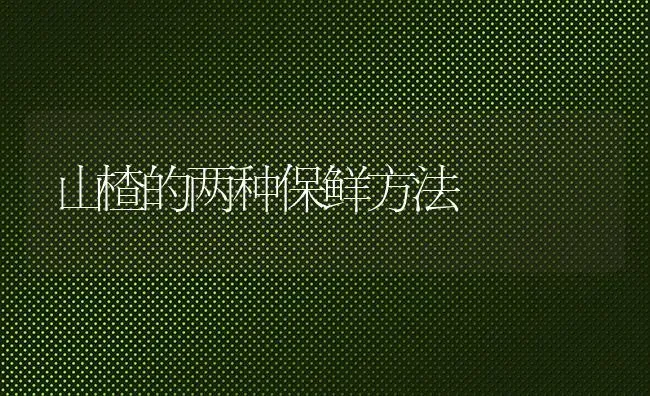 山楂的两种保鲜方法 | 养殖知识