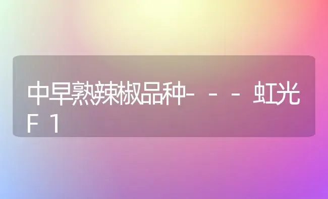 中早熟辣椒品种---虹光F1 | 养殖知识