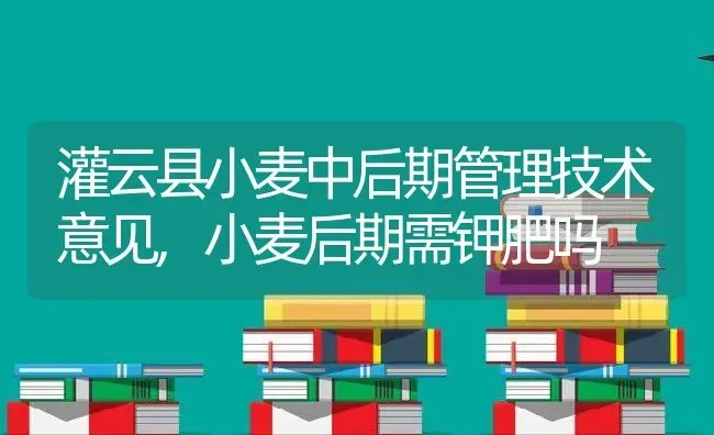 灌云县小麦中后期管理技术意见,小麦后期需钾肥吗 | 养殖学堂