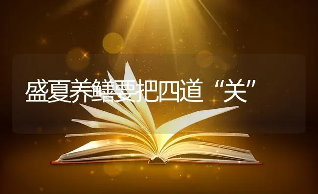 盛夏养鳝要把四道“关” | 养殖技术大全