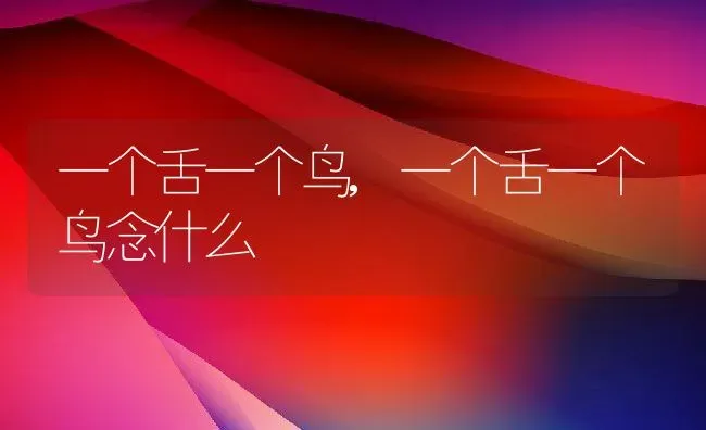一个舌一个鸟,一个舌一个鸟念什么 | 养殖科普