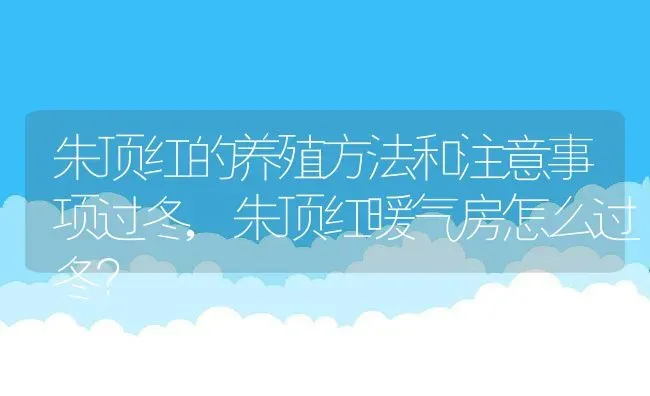 朱顶红的养殖方法和注意事项过冬,朱顶红暖气房怎么过冬？ | 养殖科普