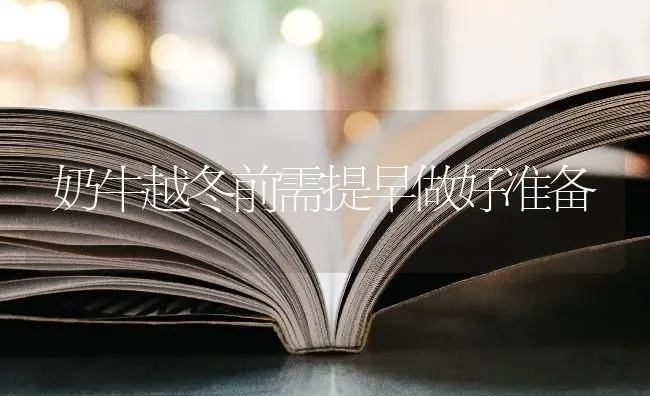 奶牛越冬前需提早做好准备 | 养殖技术大全