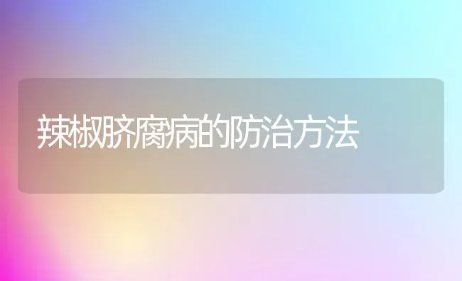 辣椒脐腐病的防治方法 | 养殖技术大全