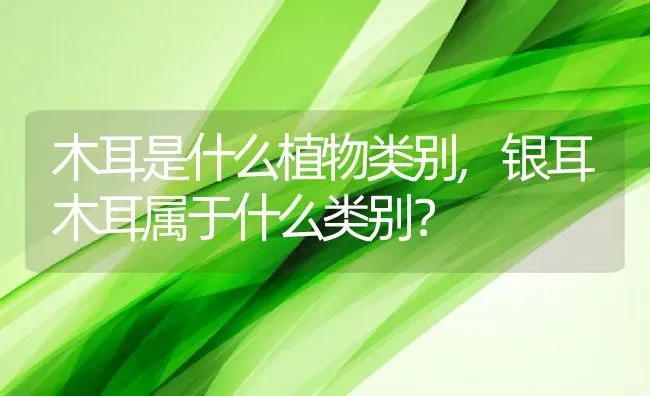 木耳是什么植物类别,银耳木耳属于什么类别？ | 养殖科普