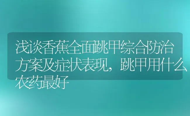 浅谈香蕉全面跳甲综合防治方案及症状表现,跳甲用什么农药最好 | 养殖学堂