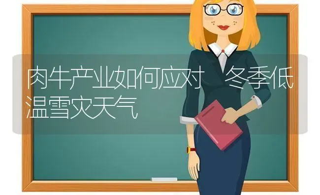 肉牛产业如何应对 冬季低温雪灾天气 | 养殖技术大全