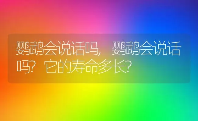 鹦鹉会说话吗,鹦鹉会说话吗?它的寿命多长? | 养殖资料