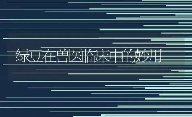 绿豆在兽医临床中的妙用 | 养殖知识