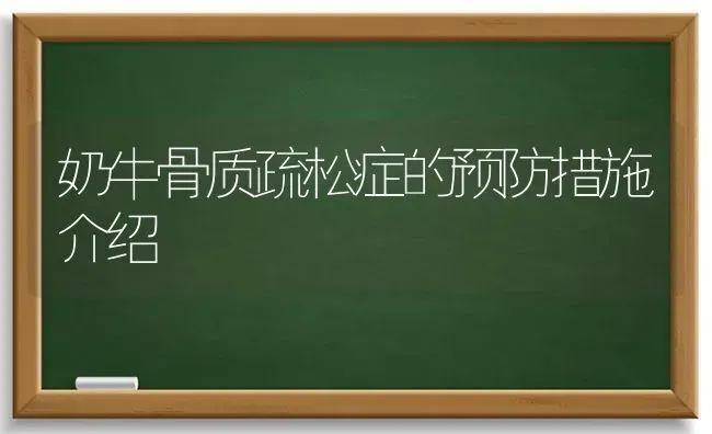 奶牛骨质疏松症的预防措施介绍 | 养殖知识