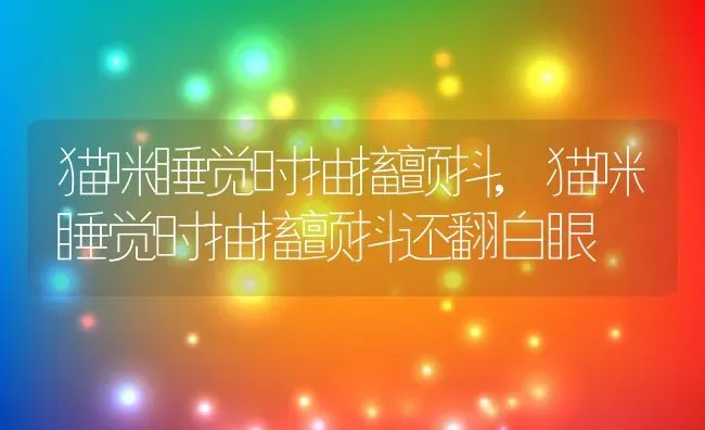 猫咪睡觉时抽搐颤抖,猫咪睡觉时抽搐颤抖还翻白眼 | 养殖科普