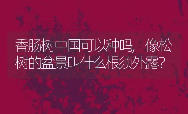 香肠树中国可以种吗,像松树的盆景叫什么根须外露？ | 养殖科普