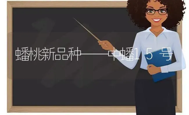 蟠桃新品种——中蟠15号 | 养殖技术大全