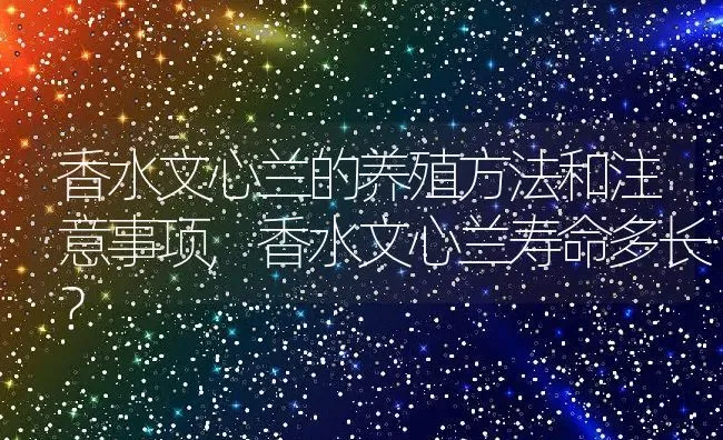 香水文心兰的养殖方法和注意事项,香水文心兰寿命多长？ | 养殖科普