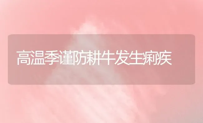 高温季谨防耕牛发生痢疾 | 养殖技术大全