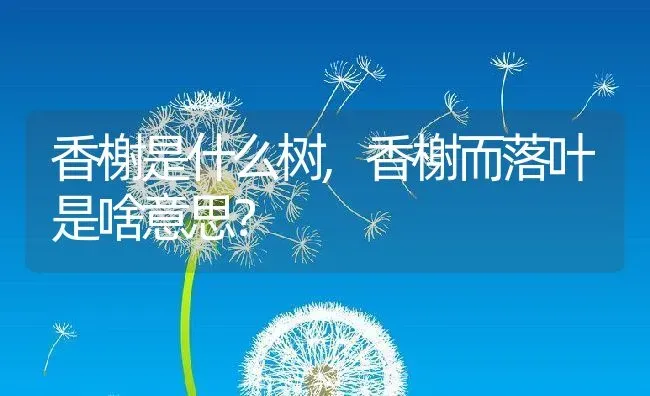 香榭是什么树,香榭而落叶是啥意思？ | 养殖科普