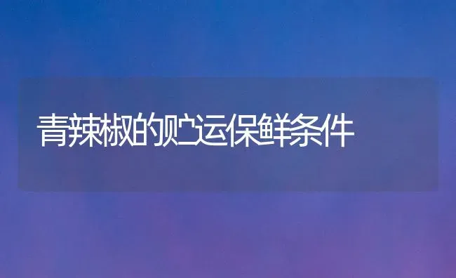 青辣椒的贮运保鲜条件 | 养殖技术大全