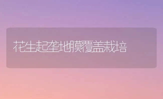 花生起垄地膜覆盖栽培 | 养殖知识