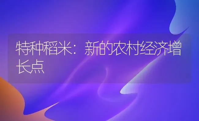 特种稻米：新的农村经济增长点 | 养殖技术大全