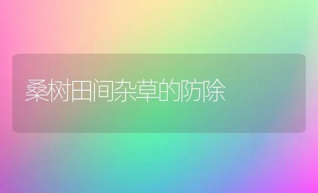 桑树田间杂草的防除 | 养殖知识