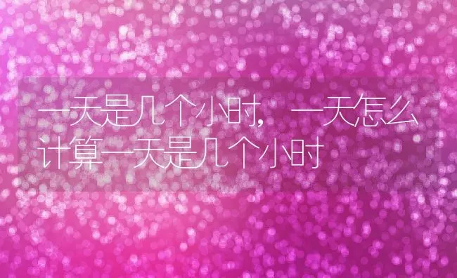 一天是几个小时,一天怎么计算一天是几个小时 | 养殖科普