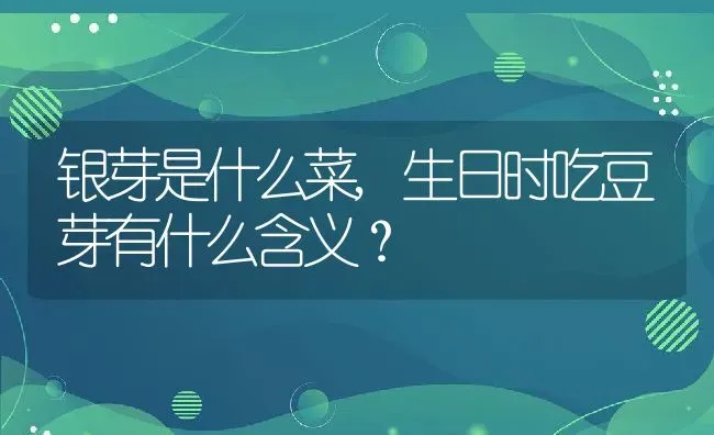 银芽是什么菜,生日时吃豆芽有什么含义？ | 养殖科普