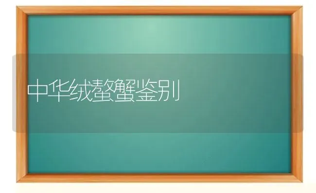 中华绒螯蟹鉴别 | 养殖技术大全