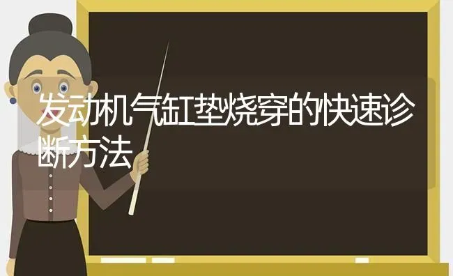 发动机气缸垫烧穿的快速诊断方法 | 养殖技术大全