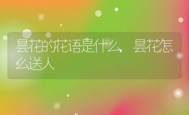 昙花的花语是什么,昙花怎么送人 | 养殖学堂