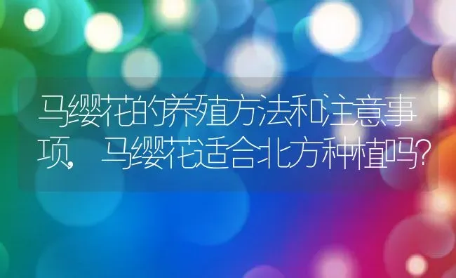 马缨花的养殖方法和注意事项,马缨花适合北方种植吗？ | 养殖科普