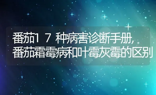 番茄17种病害诊断手册,番茄霜霉病和叶霉灰霉的区别 | 养殖学堂