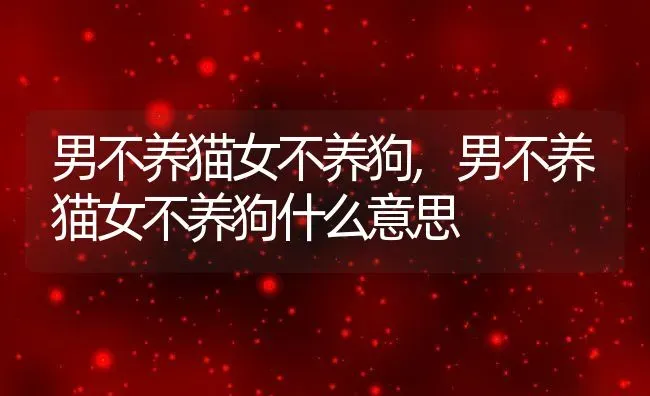 男不养猫女不养狗,男不养猫女不养狗什么意思 | 养殖资料