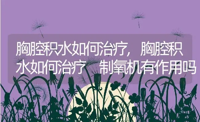 胸腔积水如何治疗,胸腔积水如何治疗 制氧机有作用吗 | 养殖资料