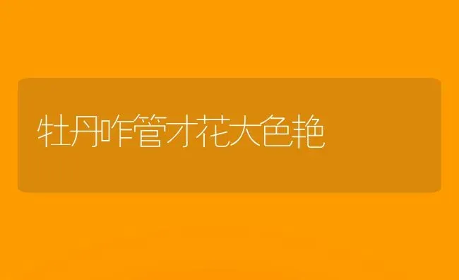 牡丹咋管才花大色艳 | 养殖技术大全