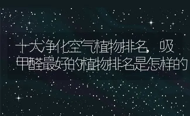 十大净化空气植物排名,吸甲醛最好的植物排名是怎样的 | 养殖学堂