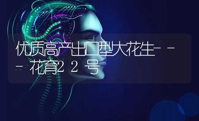 优质高产出口型大花生---花育22号 | 养殖技术大全