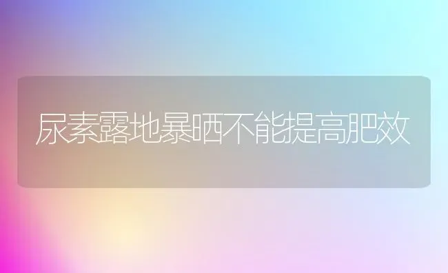 尿素露地暴晒不能提高肥效 | 养殖技术大全
