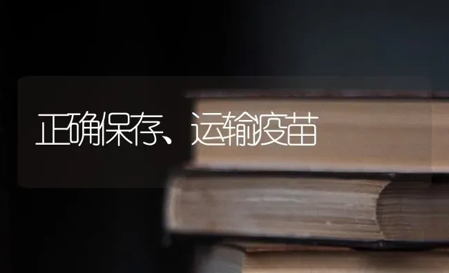 正确保存、运输疫苗 | 养殖知识