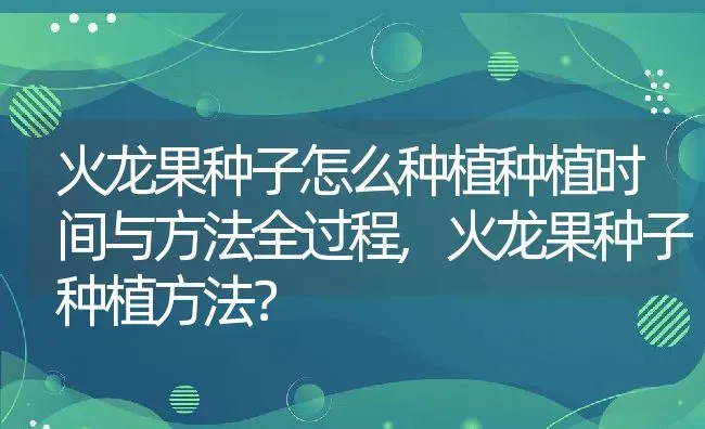 火龙果种子怎么种植种植时间与方法全过程,火龙果种子种植方法？ | 养殖科普